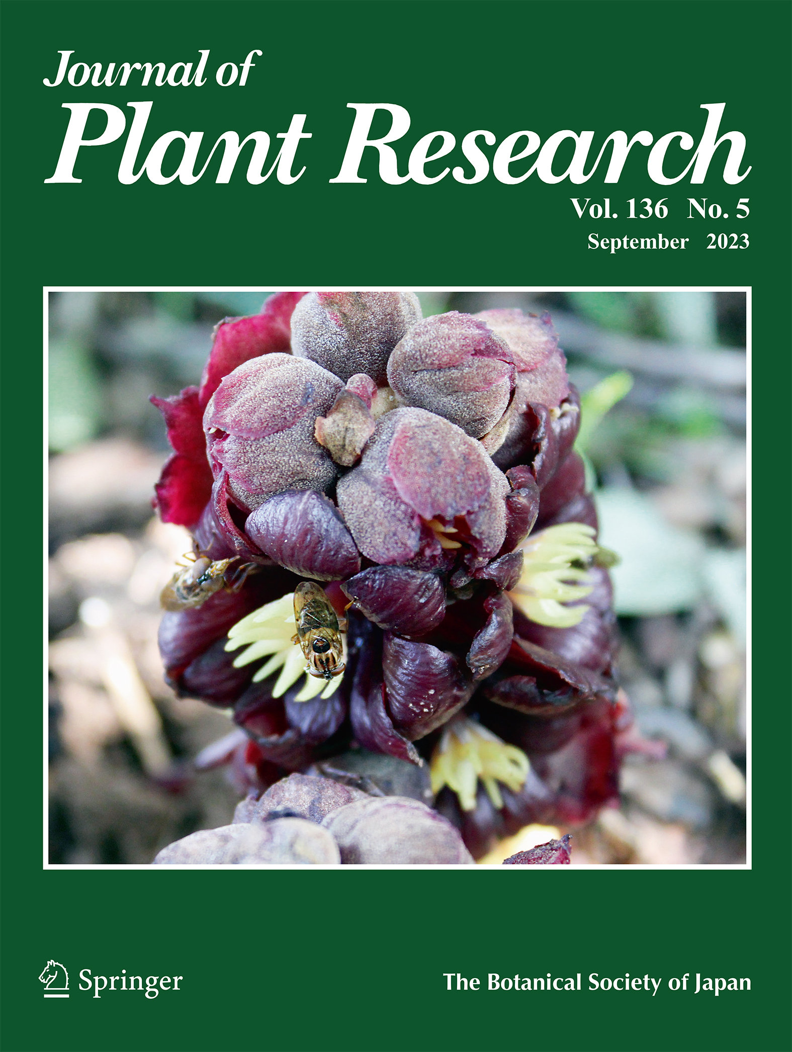 2023年9月号（Vol.136 No.5) < Journal of Plant Research | 日本植物学会